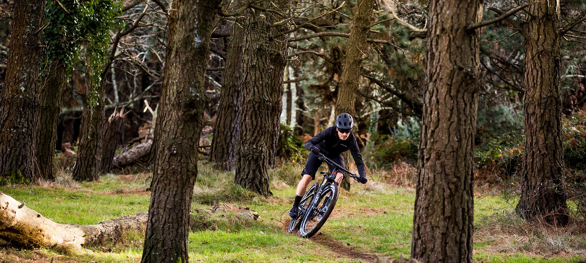 greenbikes_teaser_home_001